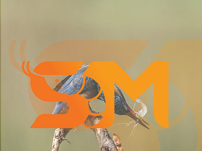 SHRIMP MODERN LOGO