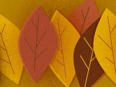 autumn leaves autumn illustration leaves