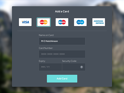 002 - Card Capture Form capture card credit card dailyui fields form pay payment ui