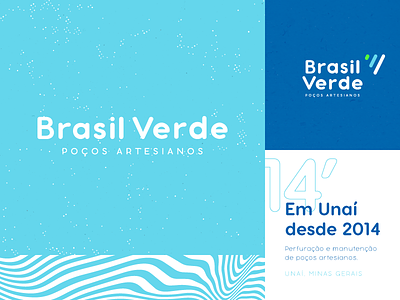 Brasil Verde Branding brand branding brazil lettering logo