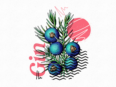 Juniper design gin illustration juniper procreate texture typography