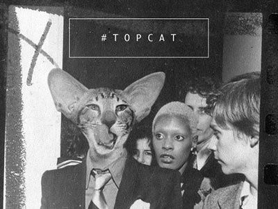 Top Cat topcat