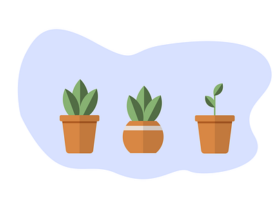 Pot plants animation art design flat graphic design icon illustration illustrator logo vector