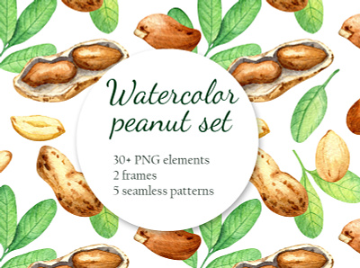 Watercolor peanut art artist botanical branding bright decor design food healthy illustration logo natural packaging vegan watercolor