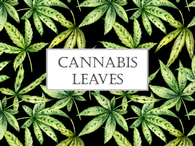 Watercolor cannabis leaves art botanical botany cannabis decor green health illustration leaf natural watercolor