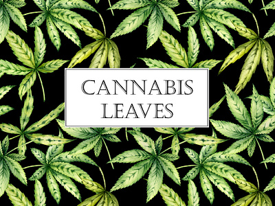 Watercolor cannabis leaves