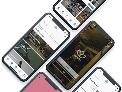 Zenfit Case Study UI