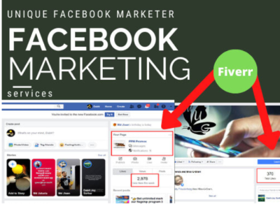 I will do grow facebook page and marketing worldwide digital marketing facebook facebook ads camping facebook marketing social media marketing