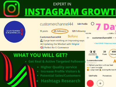 I will do instagram growth powerful instagram marketing strategy instagram marketing