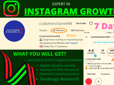 I will do instagram growth powerful instagram marketing strategy