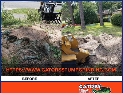 Stump Grinding jacksonvillebeach orangepark treeremoval