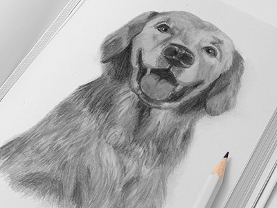 Illustration of dog art design dog draw drawing hand illustration. pencil picture pugacheva sketch