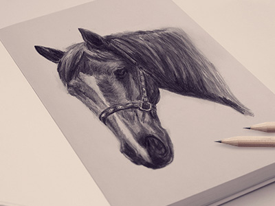 Horse illustration animal art drawing horse illustration pencil pugacheva sketch tanya