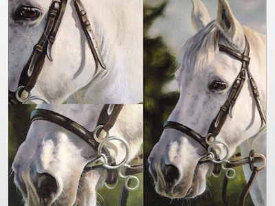 Pet Portrait Painting acrylic canvas fine art horse painting pet portrait pets pony portrait realism