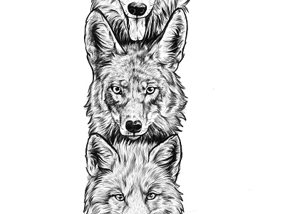Animal Totem animals design drawing fox graphic design illustration native original pencil totem wild wolf