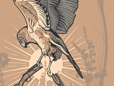 Hen Harrier Project bird birdsr cartoon color illustration style tshirt vector