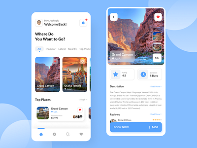 Travel Mobile App Design app design design illustration logo ui uidesign uiux