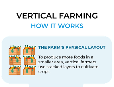Vertical Farms and How they Work by Gilles Berdugo design infographic information design sustainability