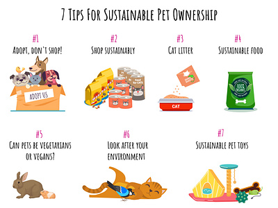 7 Tips for Sustainable Pet Ownership