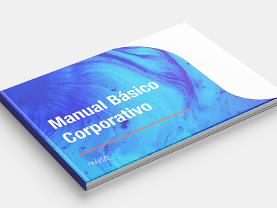 Corporate Identity Manual branding corporate branding corporate identity design visual identity