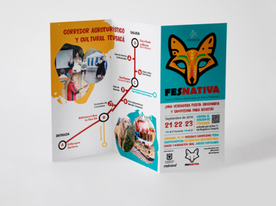 Fesnativa brochure design design editorial design illustration visual identity