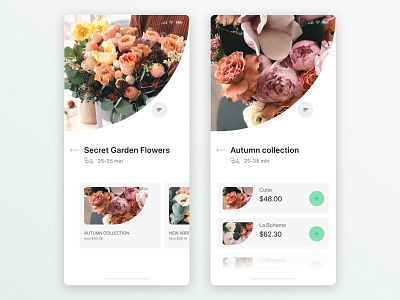 Flowers - Concept app design flowershop onlinestore ui