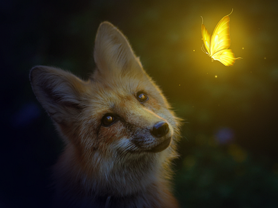 Fox and Butterfly Manipulation image manipulation photoshop