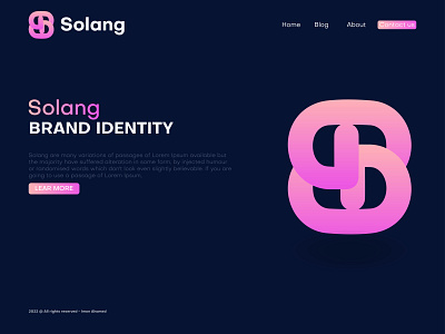 Solang Logo Design 3d a b c d e f g h i j k l m n brand brand identity branding colorful design fintech graphic design letter logo logo logo design logo mark modern logo monogram o p q r s t u v w x y z s logo saas symbol tech