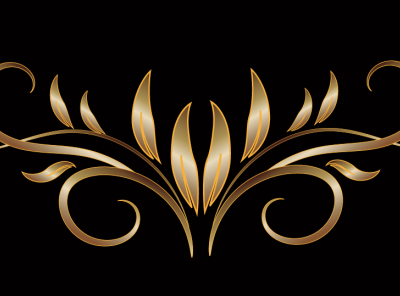 Gold Border branding design illustration illustrator logo vector