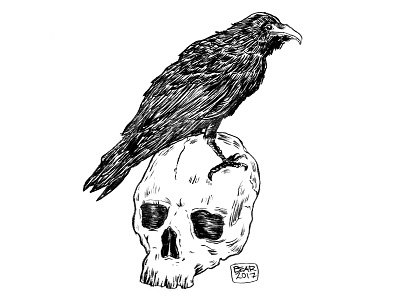 Raven & Skull halloween ink inktober paper pen raven skull