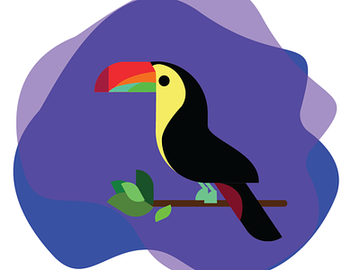 Toucan christmas design illustration illustrator toucan vector