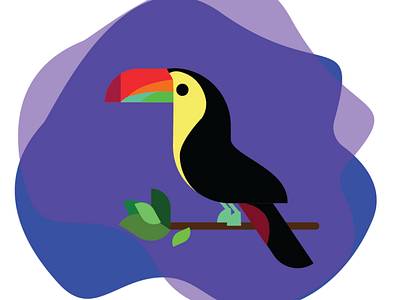 Toucan