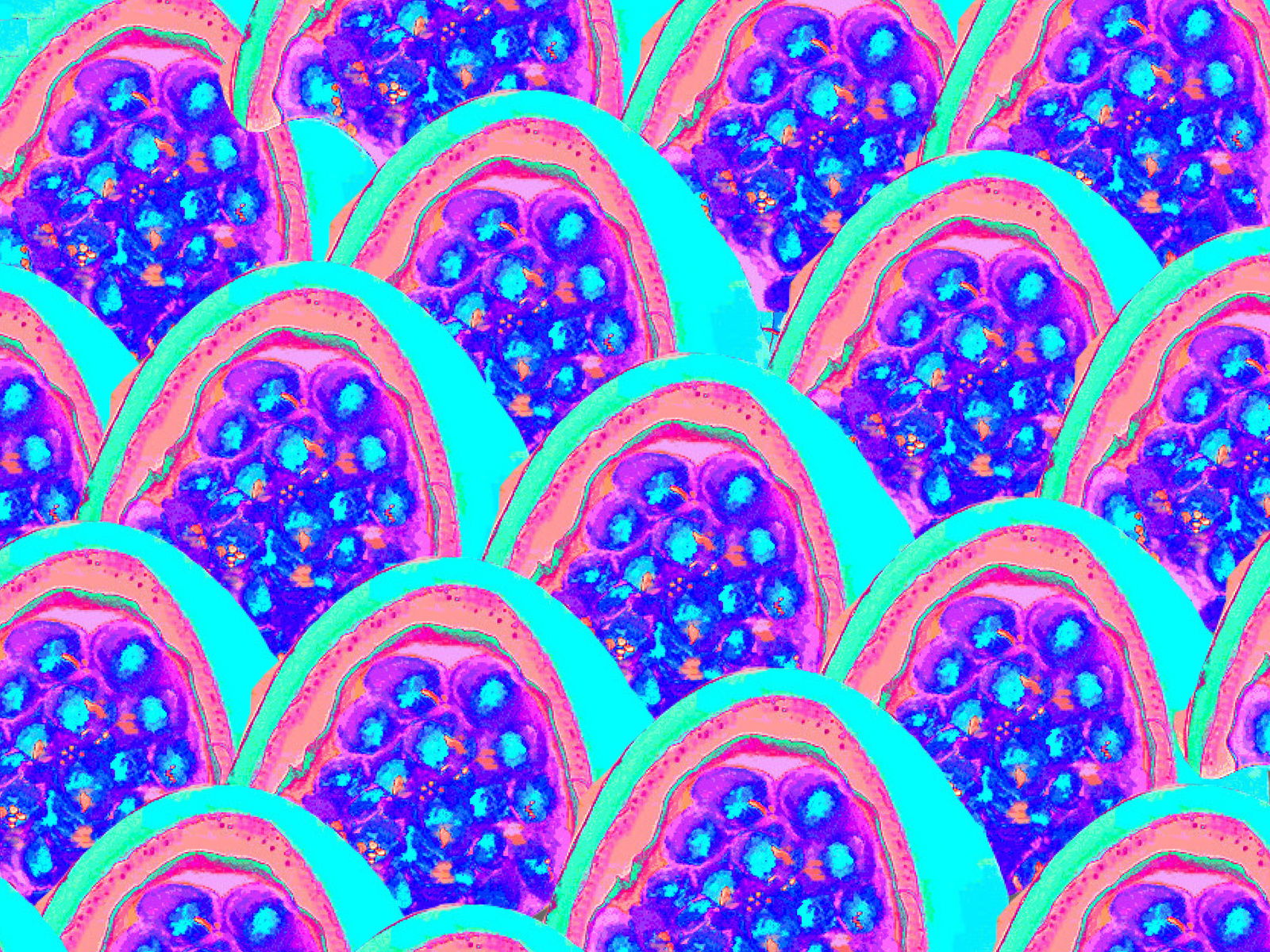 passion fruit wallpaper by Millie Aldridge on Dribbble