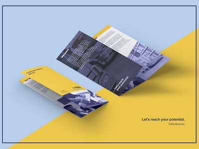 Trifold Brochure