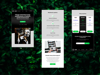 AlonaSydorchuk app appdesign design graphic design mobilleapp startup ui