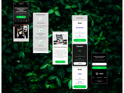 AlonaSydorchuk app appdesign design graphic design mobilleapp startup ui