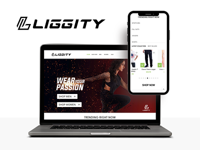 Website, SEO, Marketing & Branding (Liggity Brands) branding design graphic design illustration logo web website