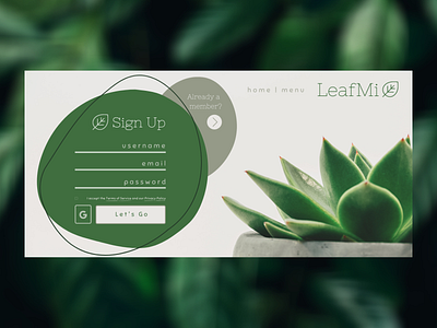 SignUp dailyui design signup web