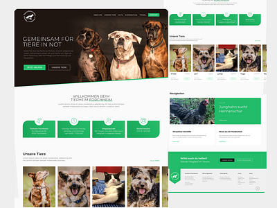 Redesign Animal Shelter website animal animal shelter animals blog cat dog re design redesign shelter society webdesign website