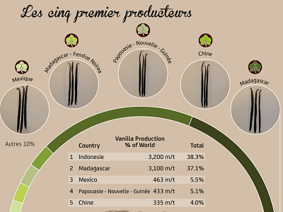 vainilla cuadro 3 data visualization dataviz design illustration infographic vector