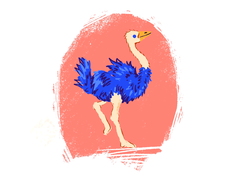 Blue Ostrich