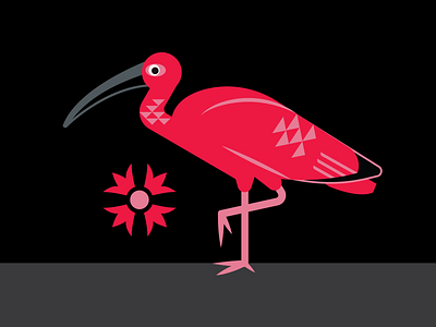 Scarlett Ibis adobe beak bird flamingo geometric ibis illustration illustrator packaging simple bird vector