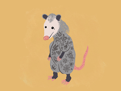 Bad Boy Opossum