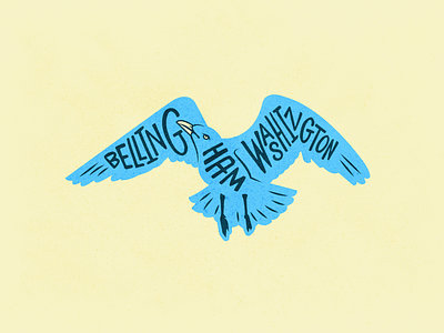 Gullguy albatross beak bellingham flying rat gull hand type illustration illustrator magnet pacific northwest pacific ocean pnw procreate rat bird sea bird seagull typography vector wings