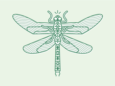 Green Darner Dragonfly craft dragonfly green illustration insect line line art linecraft northwest pacific northwest pnw washington state