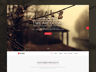 Olida | Multi-Purpose Parallax PSD Landing Page landing page onepage parallax themeforest wordpress blog