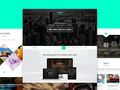 Cuvey | Multi-Purpose Parallax PSD Landing Page gallery journal landing page onepage parallax photography pricing table psd template themeforest web design wordpress