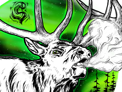 Aurora Elk