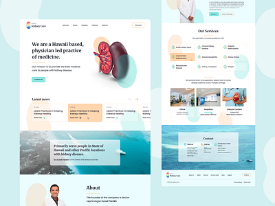 Oahu Kidney Care WordPress Web Design branding design dreampress illustration ui ux web web services website wordpress