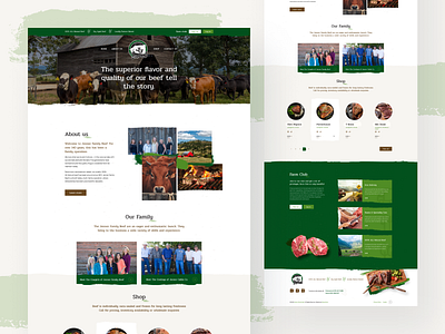 Jenner Family Beef Custom WordPress Web Design branding design illustration logo minimal typography ui ux web website